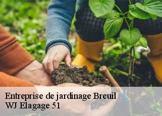 Entreprise de jardinage  breuil-51140 WJ Elagage 51 