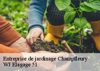 Entreprise de jardinage  champfleury-51500 WJ Elagage 51 