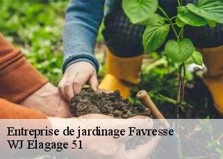 Entreprise de jardinage  favresse-51300 WJ Elagage 51 