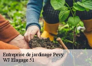 Entreprise de jardinage  pevy-51140 WJ Elagage 51 