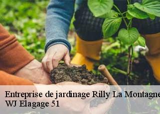 Entreprise de jardinage  rilly-la-montagne-51500 WJ Elagage 51 