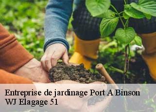 Entreprise de jardinage port-a-binson-51700 WJ Elagage 51